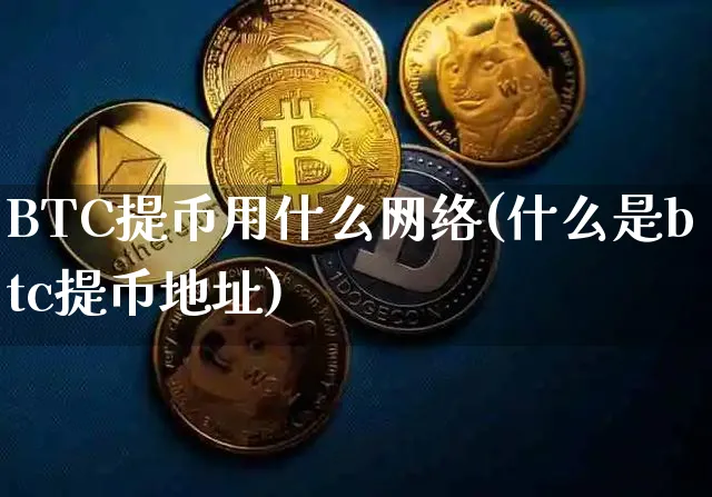 BTC提币用什么网络(什么是btc提币地址)_https://www.xjzxxn66.com_币圈资讯_第1张