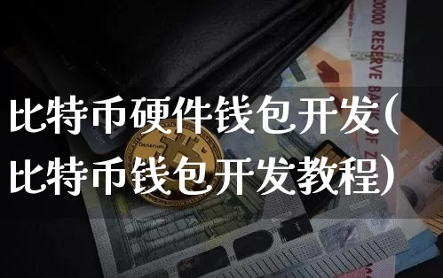 比特币硬件钱包开发(比特币钱包开发教程)_https://www.xjzxxn66.com_币圈资讯_第1张