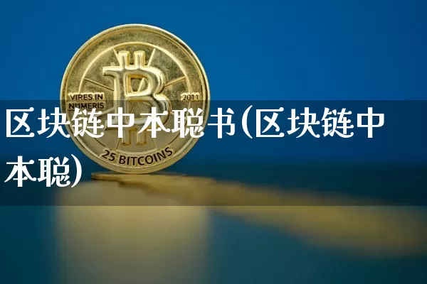 区块链中本聪书(区块链中本聪)_https://www.xjzxxn66.com_币圈资讯_第1张