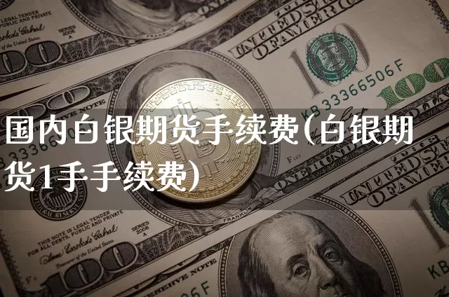 国内白银期货手续费(白银期货1手手续费)_https://www.xjzxxn66.com_比特币_第1张