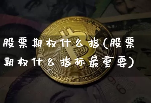 股票期权什么指(股票期权什么指标最重要)_https://www.xjzxxn66.com_比特币_第1张