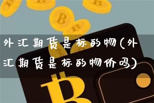 外汇期货是标的物(外汇期货是标的物价吗)_https://www.xjzxxn66.com_区块链_第1张
