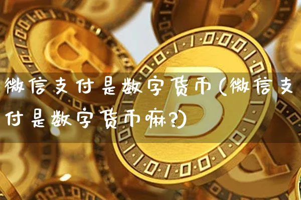 微信支付是数字货币(微信支付是数字货币嘛?)_https://www.xjzxxn66.com_币圈资讯_第1张