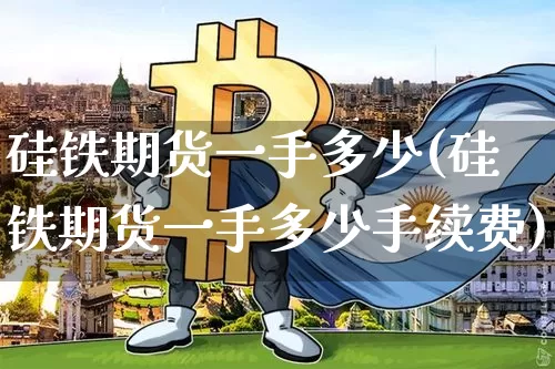 硅铁期货一手多少(硅铁期货一手多少手续费)_https://www.xjzxxn66.com_以太坊_第1张