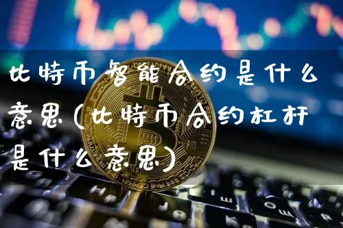 比特币智能合约是什么意思(比特币合约杠杆是什么意思)_https://www.xjzxxn66.com_币圈资讯_第1张