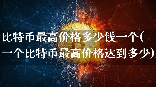 比特币最高价格多少钱一个(一个比特币最高价格达到多少)_https://www.xjzxxn66.com_币圈资讯_第1张