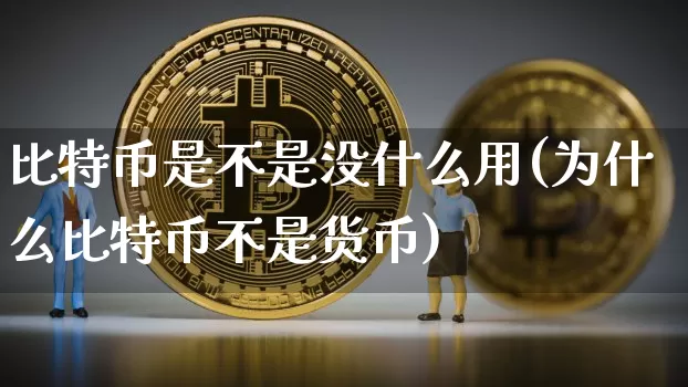 比特币是不是没什么用(为什么比特币不是货币)_https://www.xjzxxn66.com_以太坊_第1张