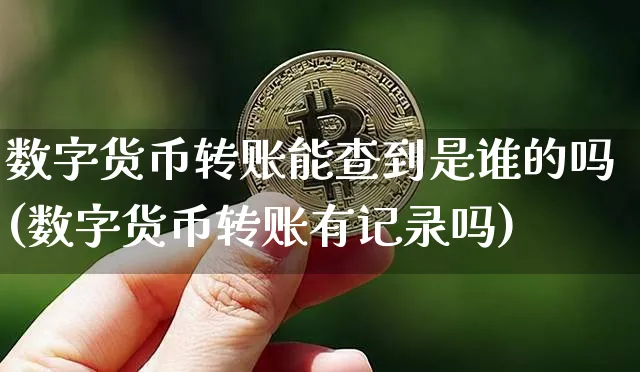 数字货币转账能查到是谁的吗(数字货币转账有记录吗)_https://www.xjzxxn66.com_以太坊_第1张