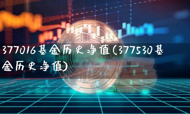 377016基金历史净值(377530基金历史净值)_https://www.xjzxxn66.com_比特币_第1张
