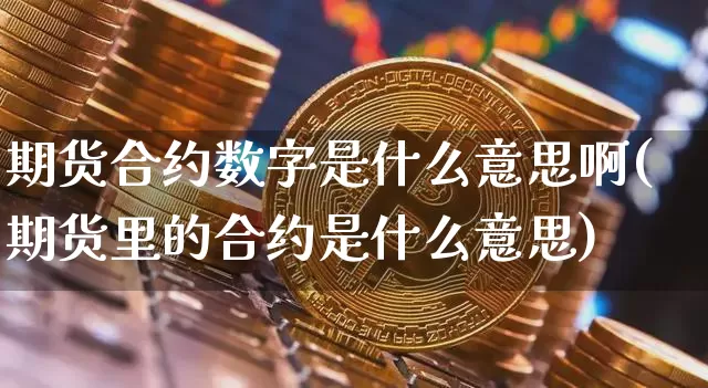 期货合约数字是什么意思啊(期货里的合约是什么意思)_https://www.xjzxxn66.com_比特币_第1张