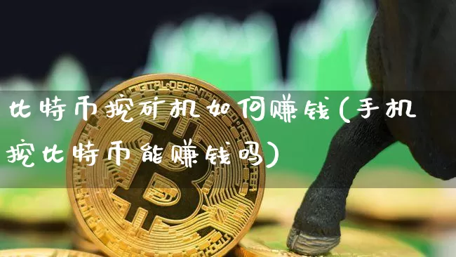 比特币挖矿机如何赚钱(手机挖比特币能赚钱吗)_https://www.xjzxxn66.com_以太坊_第1张