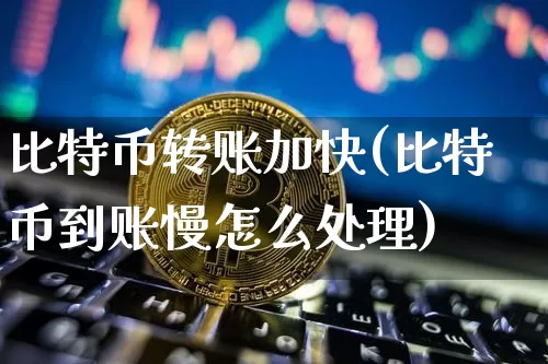 比特币转账加快(比特币到账慢怎么处理)_https://www.xjzxxn66.com_以太坊_第1张