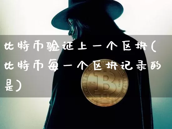 比特币验证上一个区块(比特币每一个区块记录的是)_https://www.xjzxxn66.com_币圈资讯_第1张