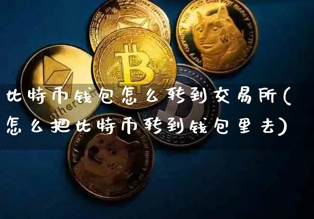 比特币钱包怎么转到交易所(怎么把比特币转到钱包里去)_https://www.xjzxxn66.com_币圈资讯_第1张
