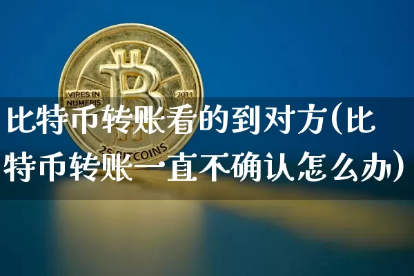 比特币转账看的到对方(比特币转账一直不确认怎么办)_https://www.xjzxxn66.com_区块链_第1张